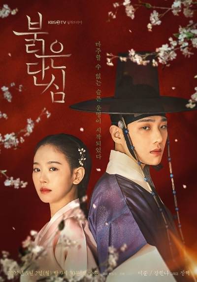 Bloody Heart S01 [Hindi 5.1 – KOR 5.1]