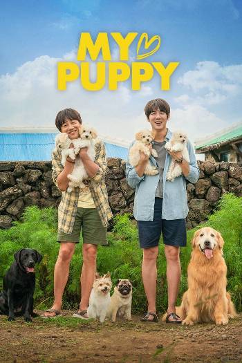 Download My Heart Puppy 2023 Dual Audio [Hindi 5.1-Kor] WEB-DL Full Movie 1080p 720p 480p HEVC